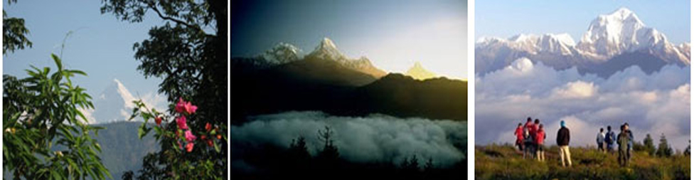 Pokhara-Poonhill Yoga Tour