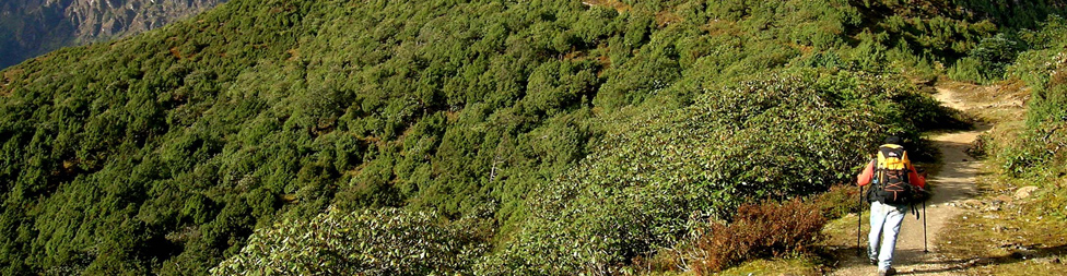 Nepal Rhododendron Trek