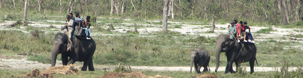 Chitwan National Park