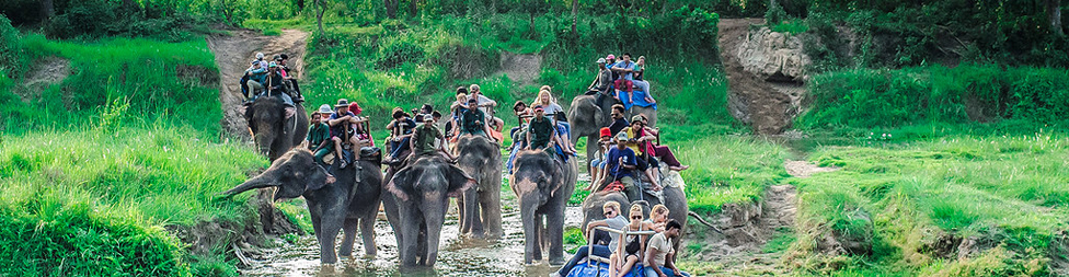 Kathmandu-Chitwan-Jungle Tour with visit to Pokhara